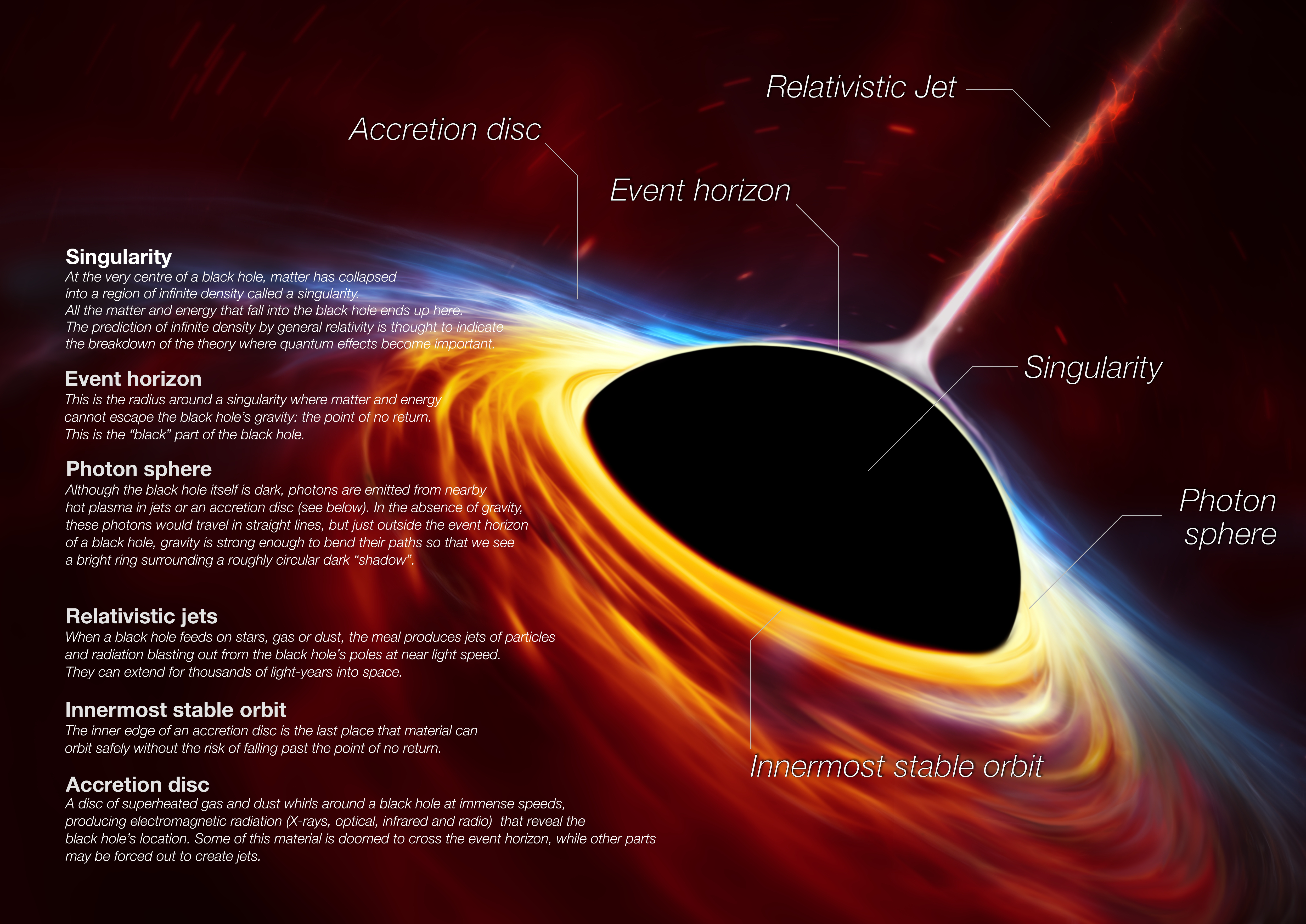 Anatomy of a black hole